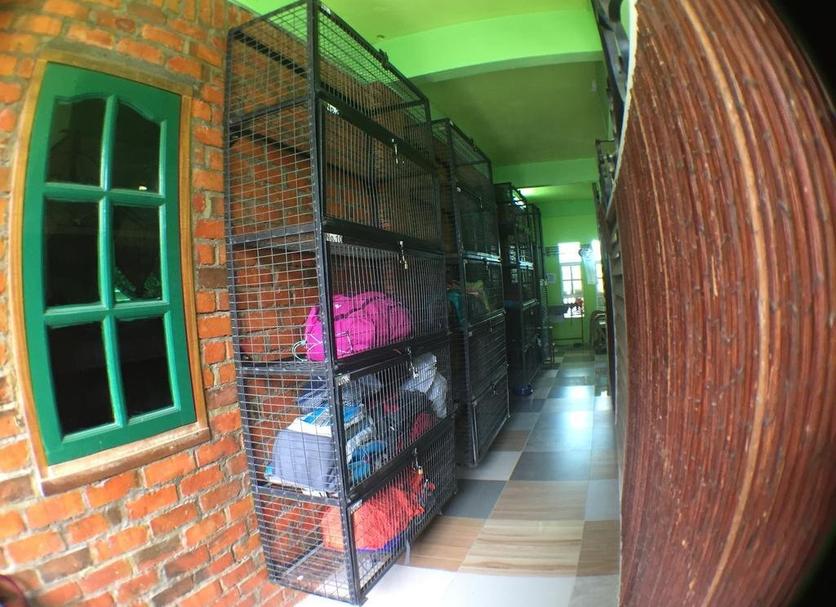 Other Photo