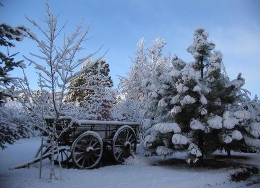 Outdoor view Photo