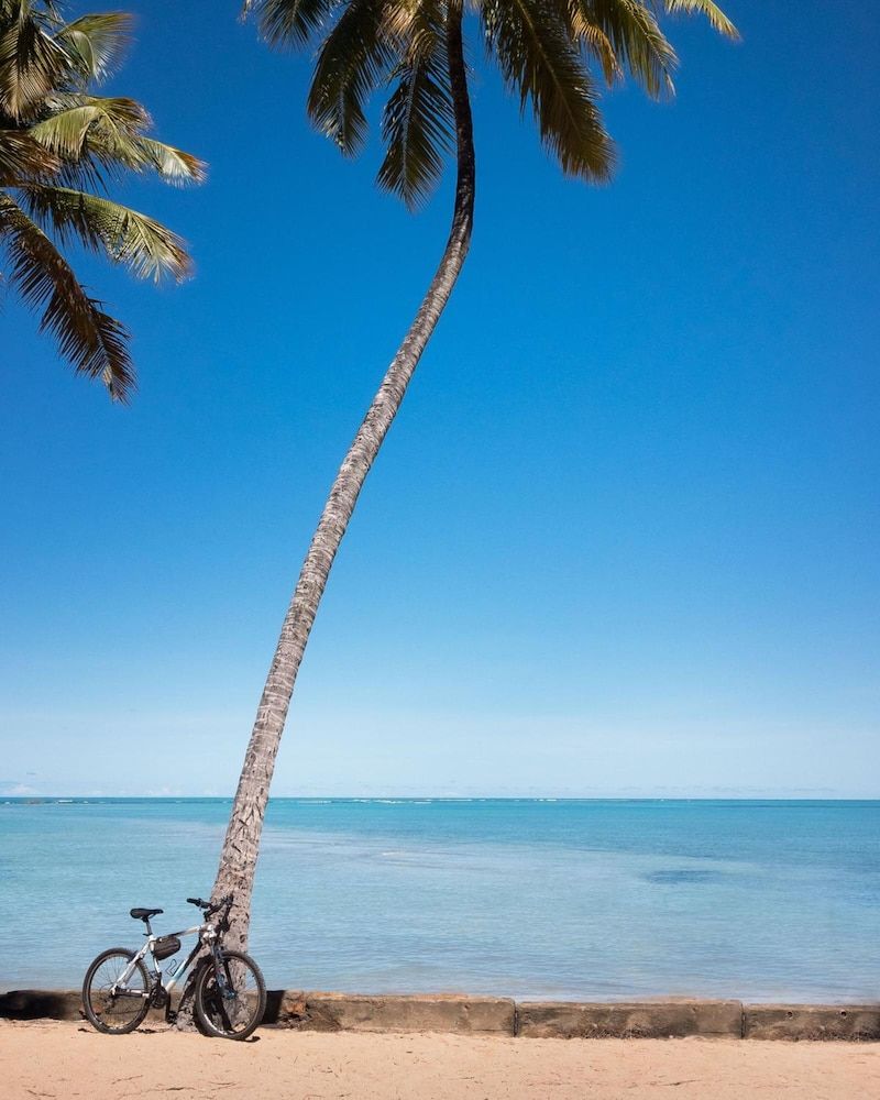 Beach Photo