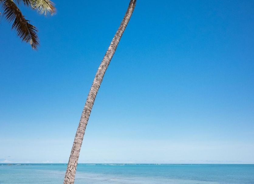 Beach Photo