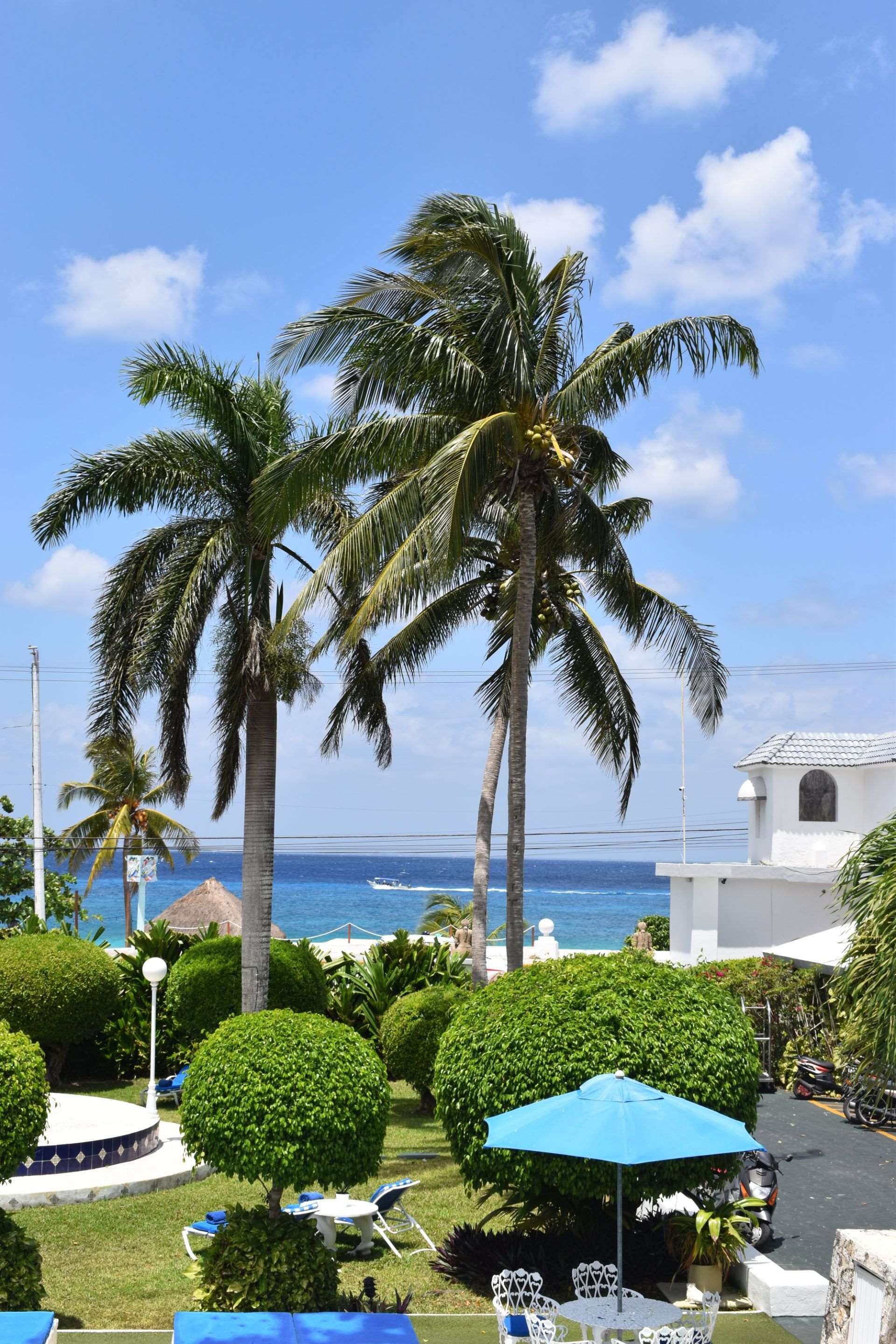 Outdoor view