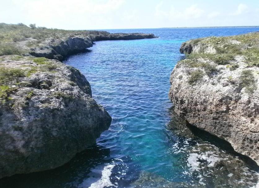 Other Photo
