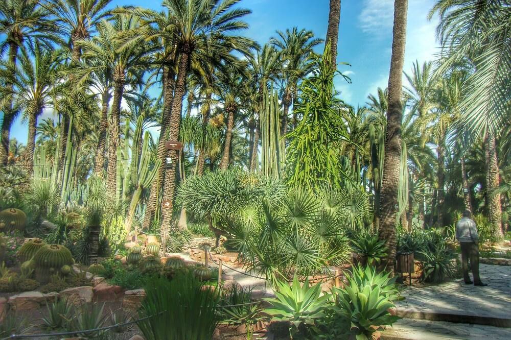 Outdoor view