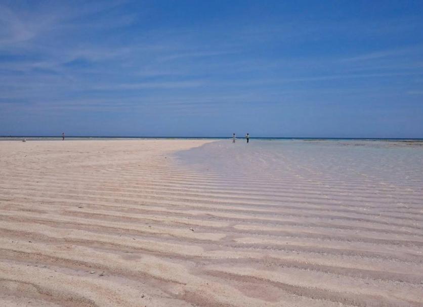 Beach Photo