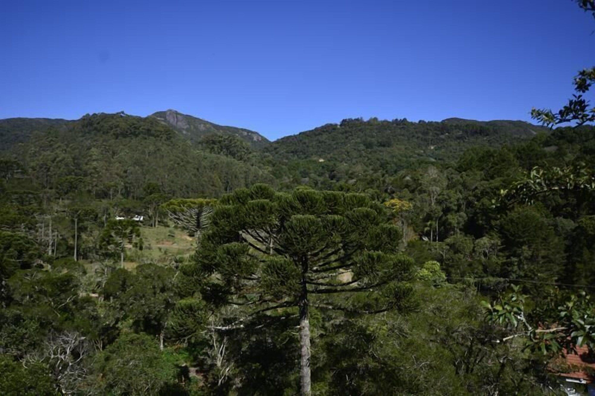 Outdoor view