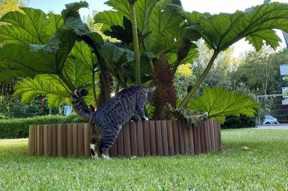Outdoor view