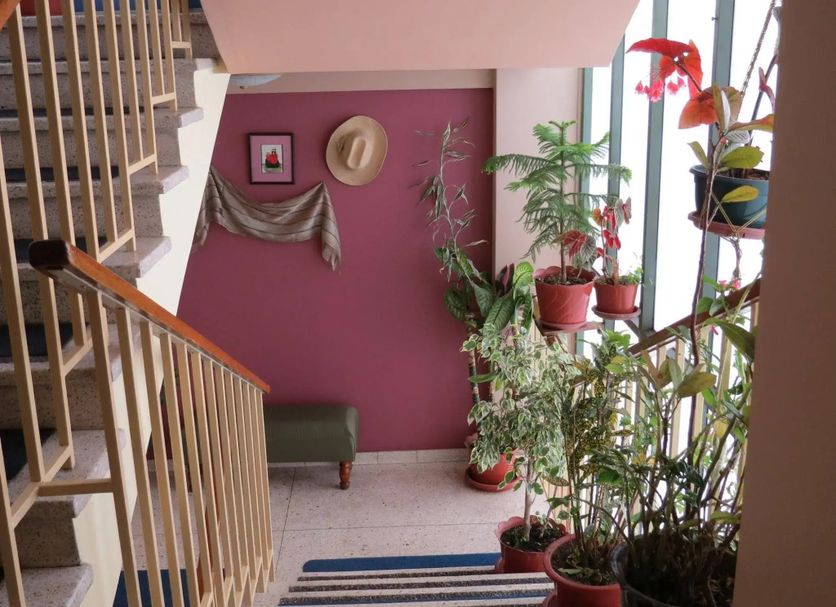 Stairs Photo