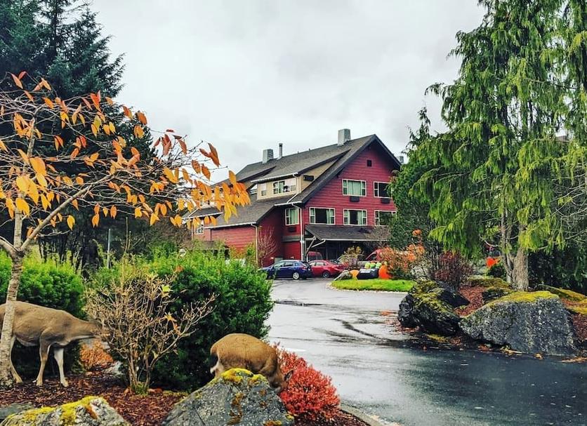 Outdoor view Photo