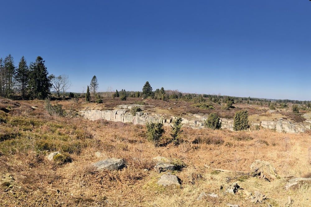 Outdoor view