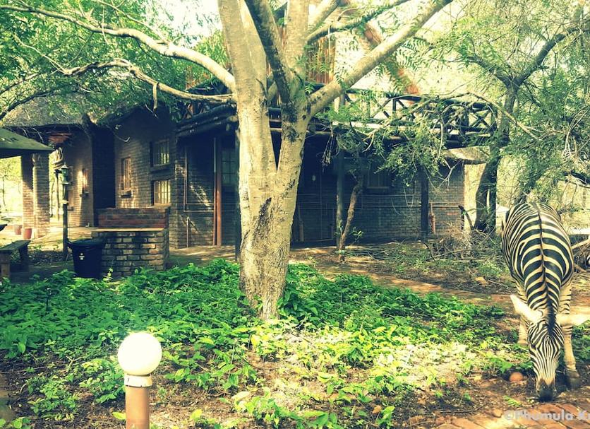 Outdoor view Photo