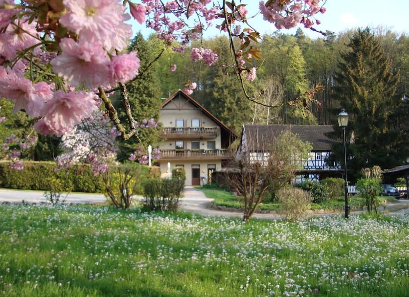 Other Photo