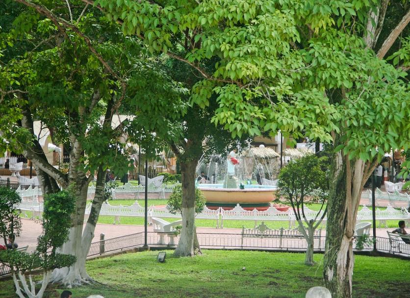Outdoor view Photo