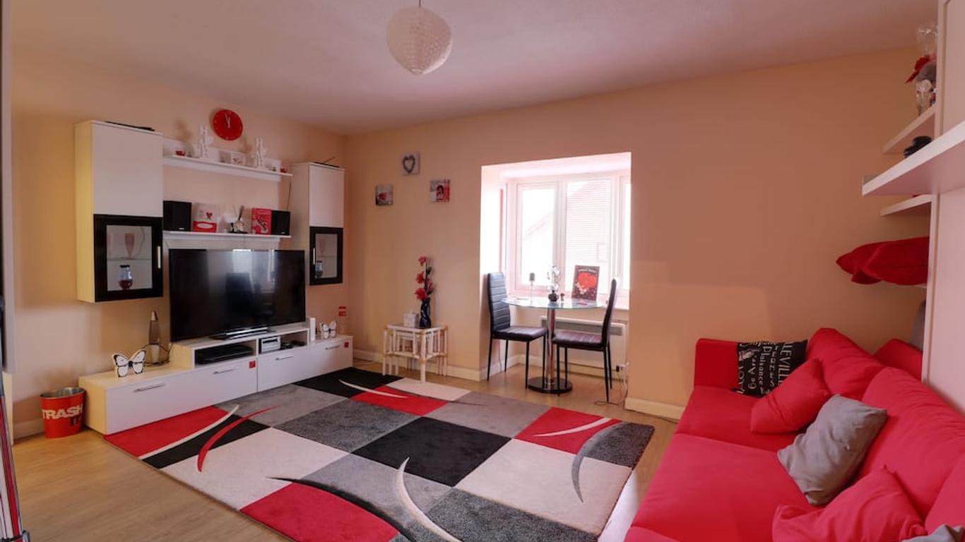 Luxury Studio Apartment