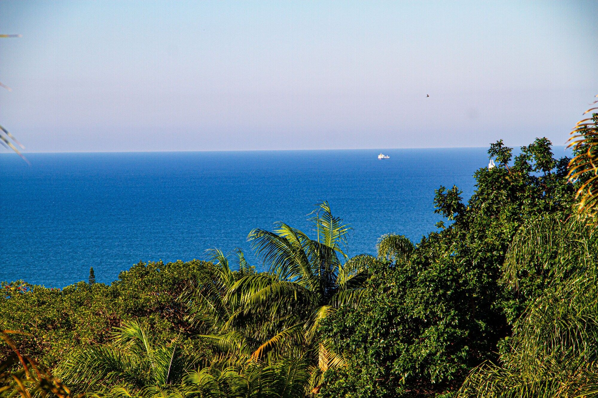 Outdoor view
