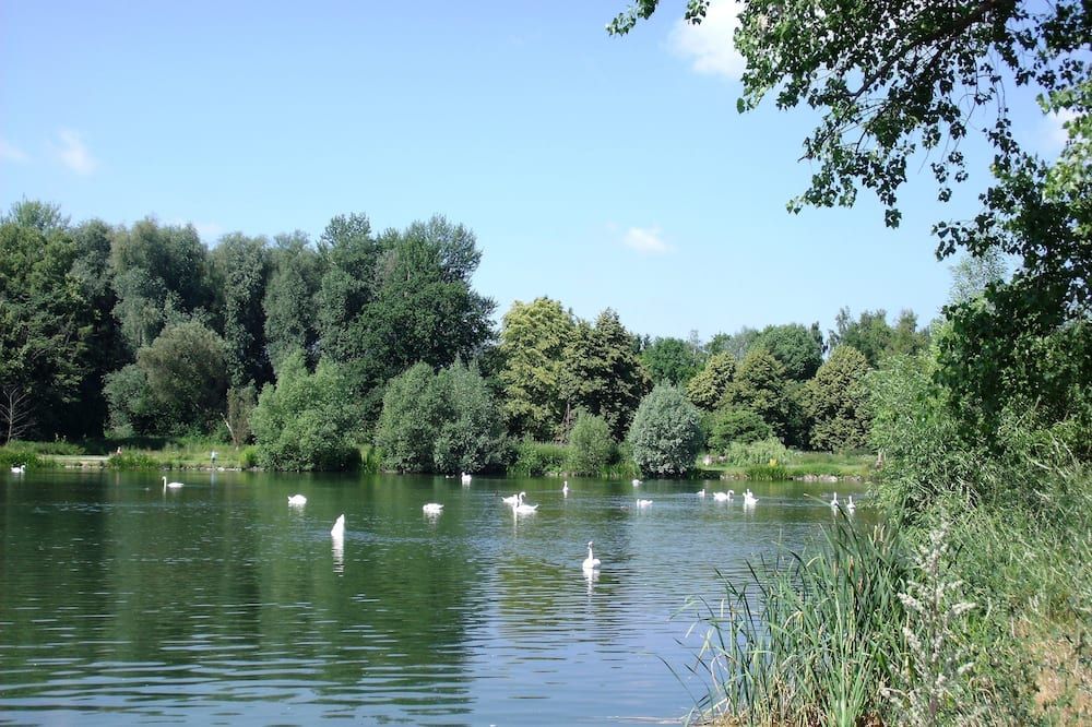 Outdoor view
