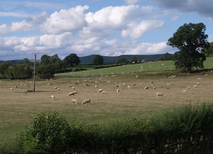 Outdoor view Photo