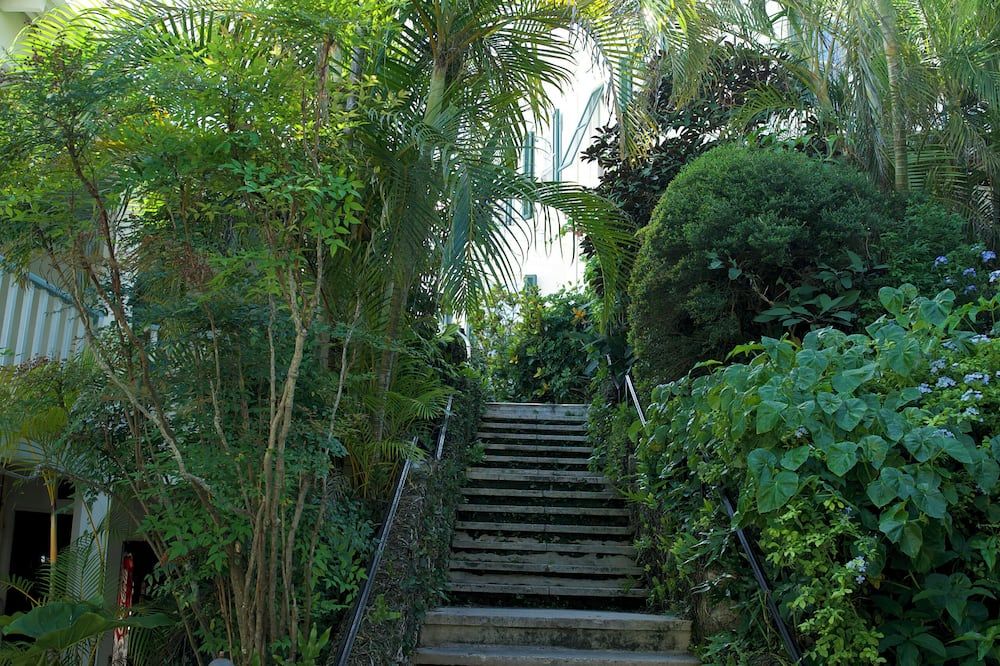 Outdoor view