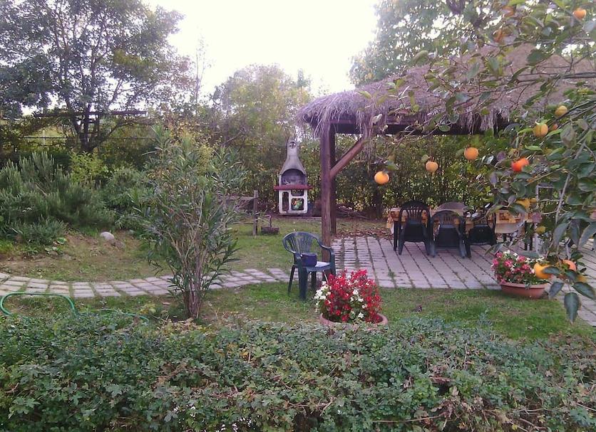 Other Photo