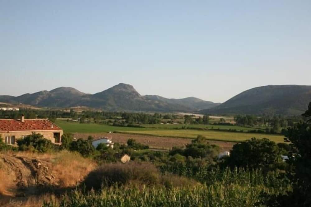 Outdoor view