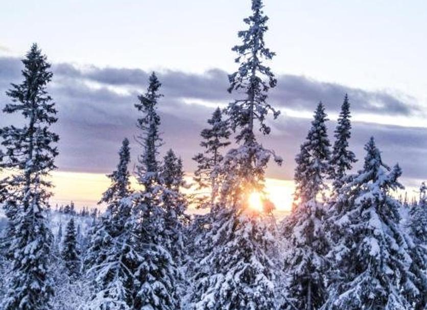 Outdoor view Photo