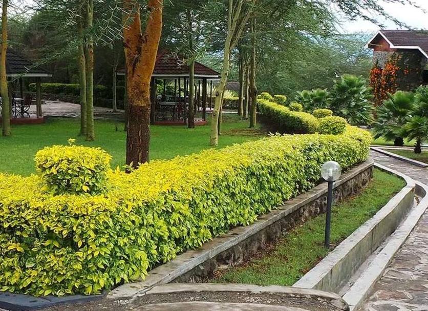 Outdoor view Photo