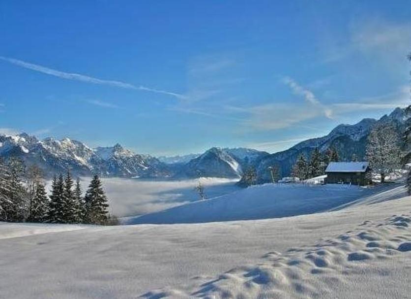 Other Photo