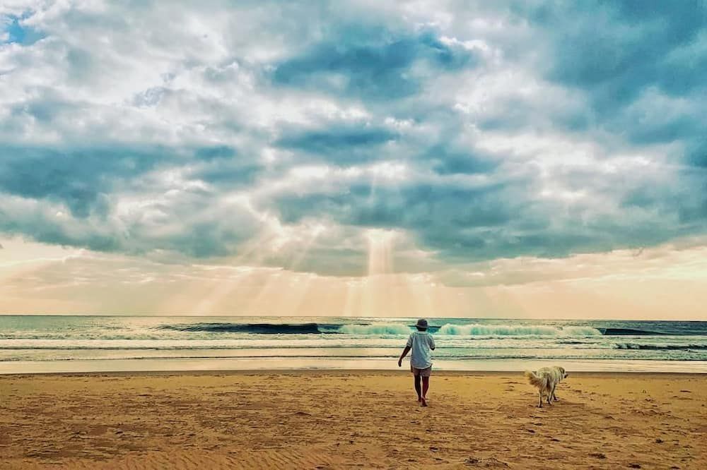 Beach Photo