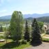Outdoor view