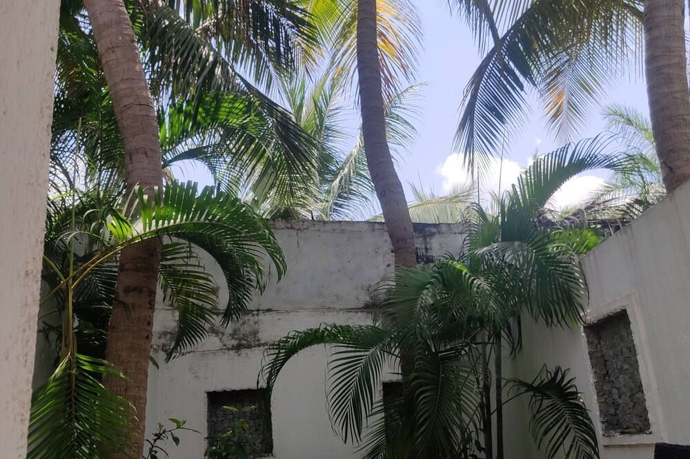 Outdoor view