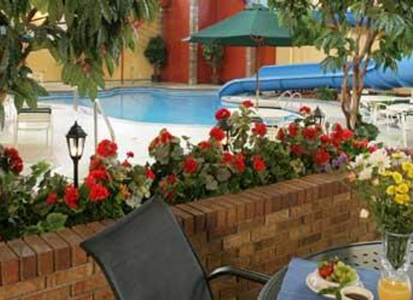 Pool Photo