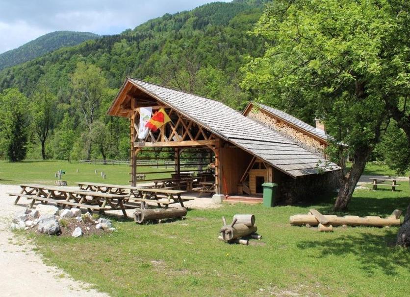 Other Photo