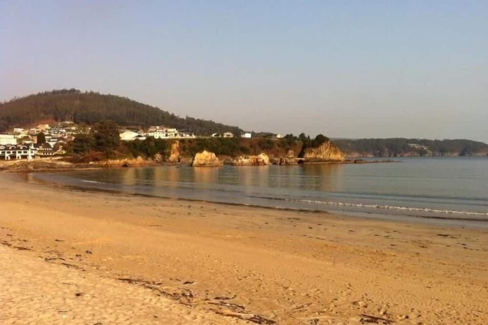 Beach Photo
