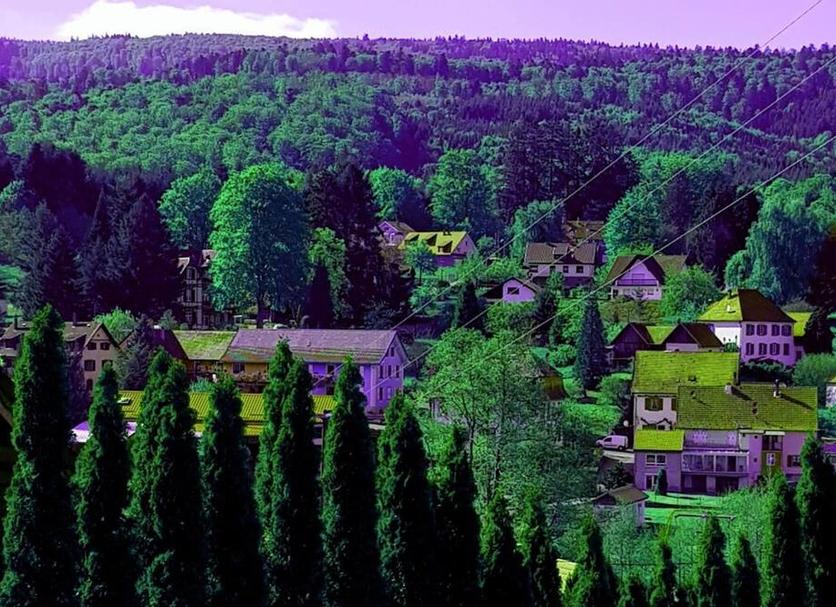 Outdoor view Photo