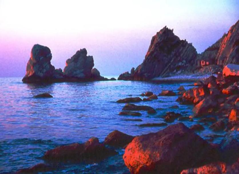 Other Photo