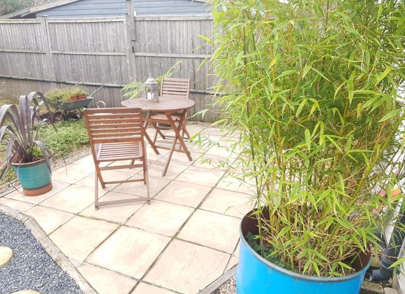 Patio Photo