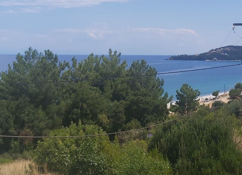 Other Photo