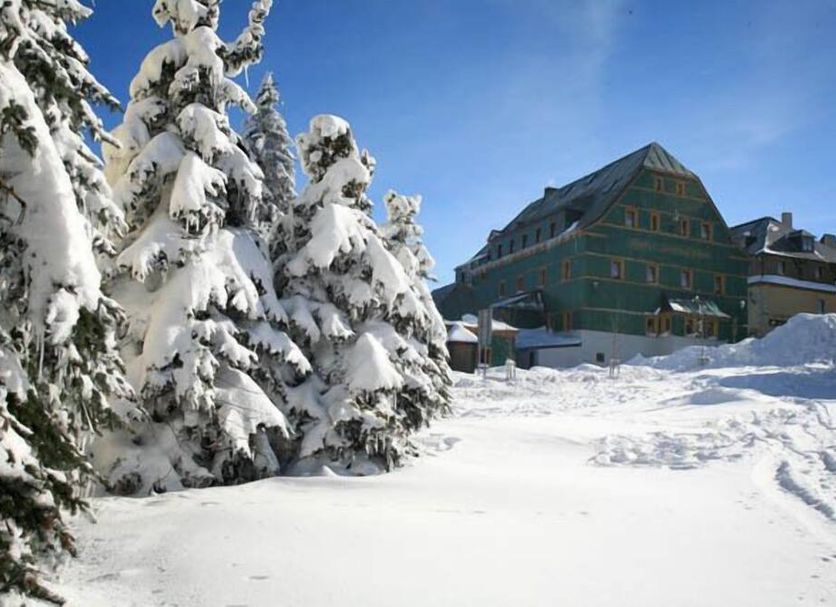 Other Photo