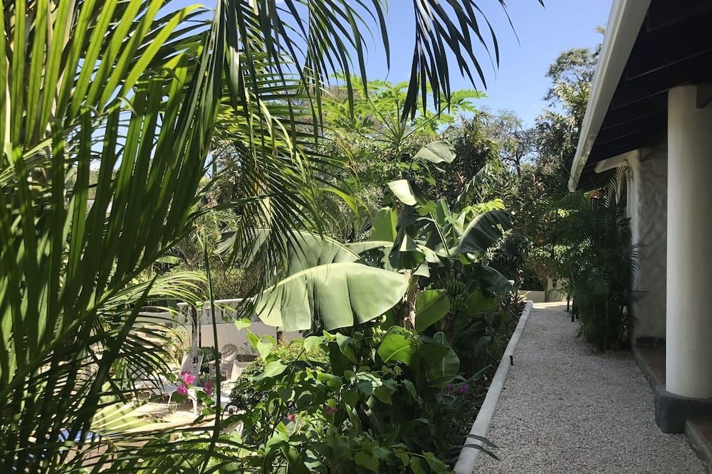 Outdoor view