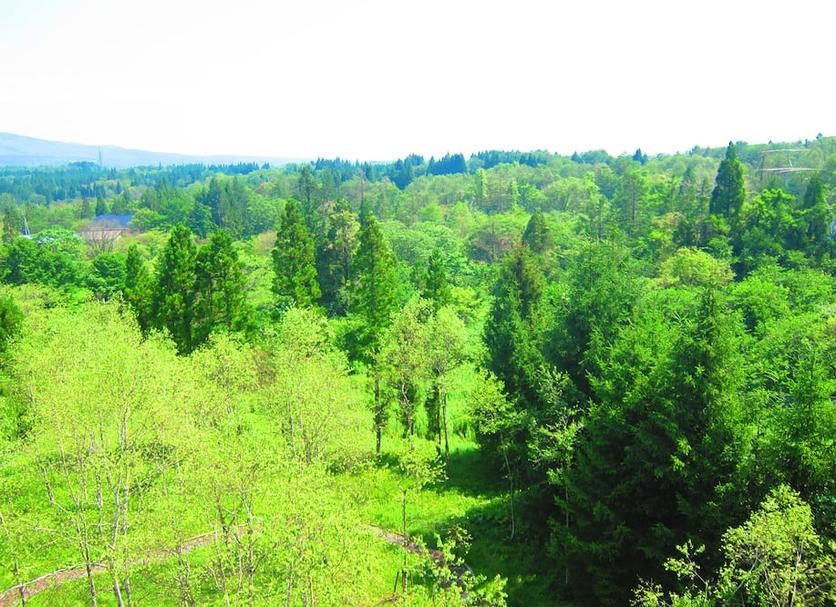 Outdoor view Photo