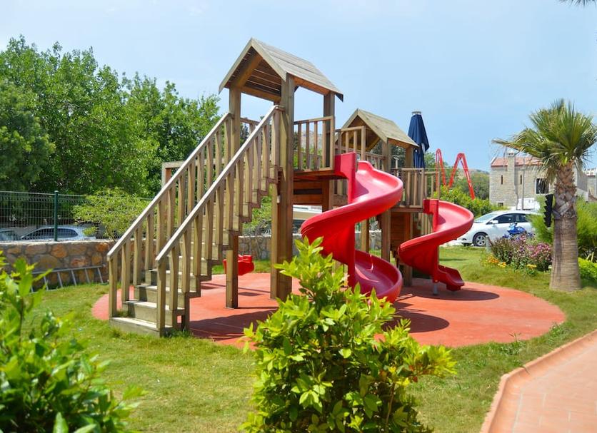 Other Photo