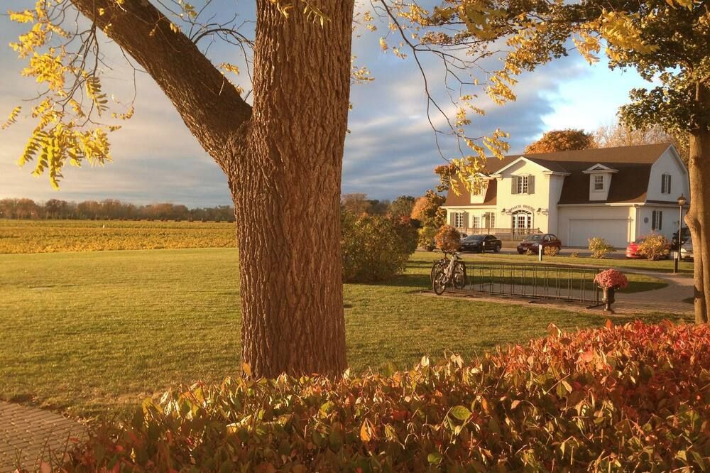 Outdoor view
