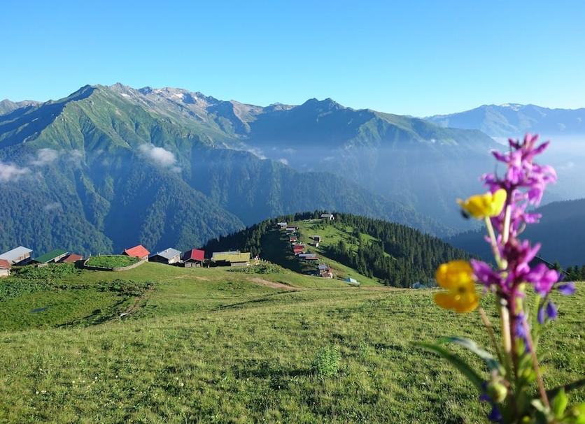 Outdoor view Photo