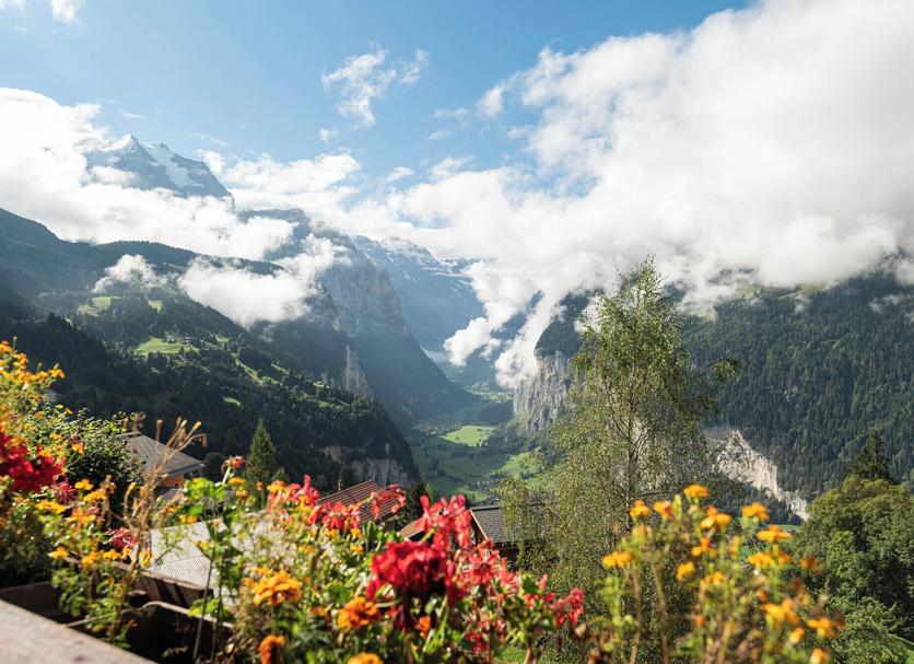 Outdoor view Photo