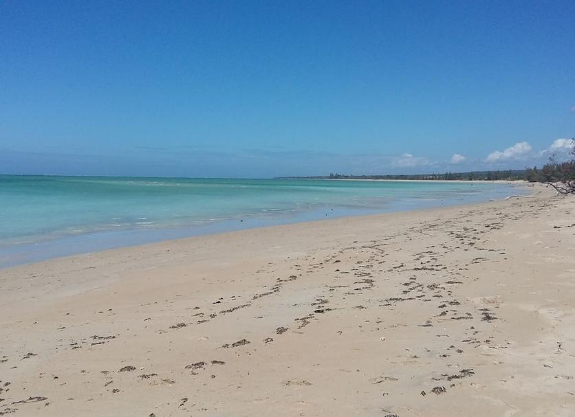 Beach Photo