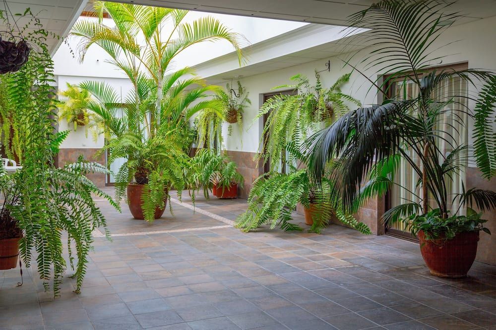 Outdoor view