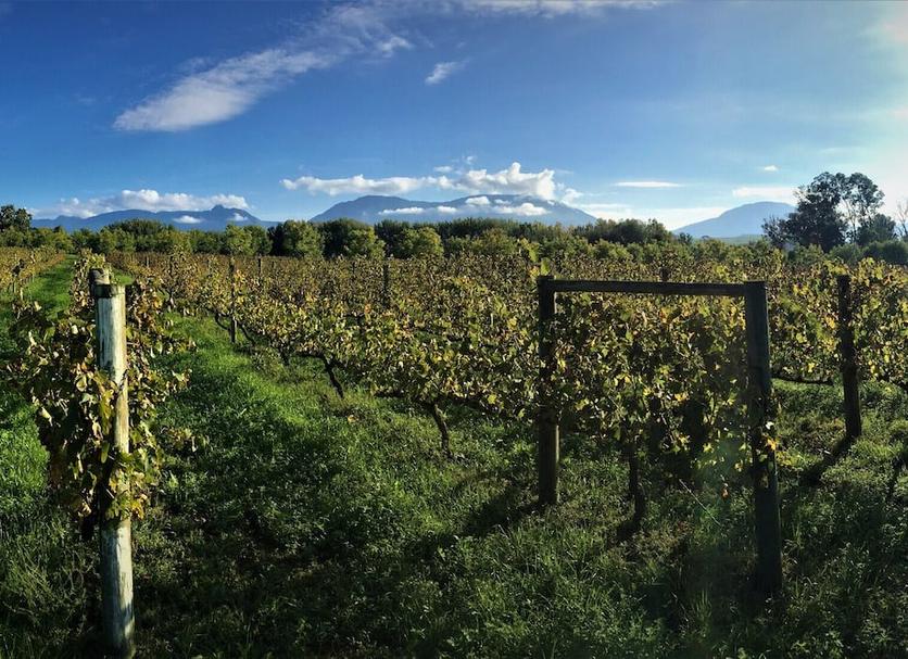Outdoor view Photo