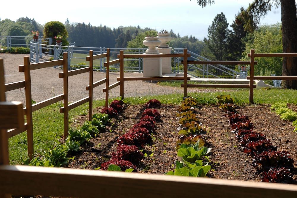 Outdoor view