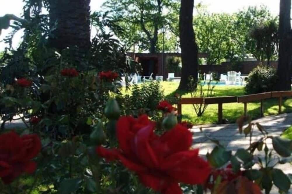 Outdoor view