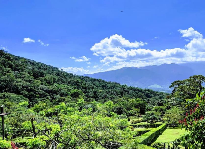 Outdoor view Photo