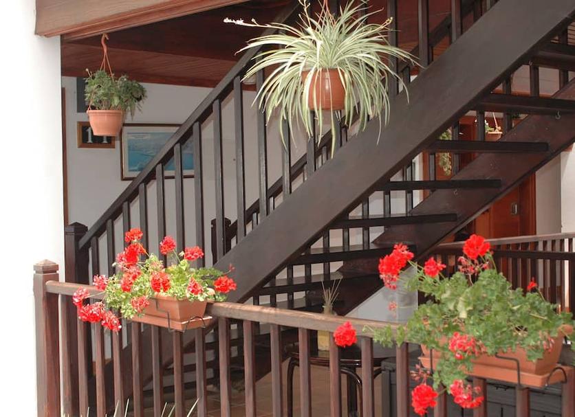 Stairs Photo